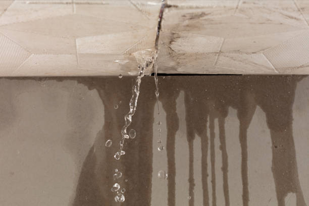 Professional Sewage Cleanup technician working in Baldwin, MI